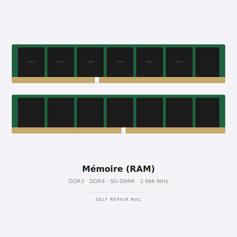 Mémoire : 8 Go, DDR4, 2 666 MHz iMac 21,5 pouces Retina 4K (mi-2019), iMac 27 pouces Retina 5K (mi-2019, mi-2020), Mac mini (fin 2018)
